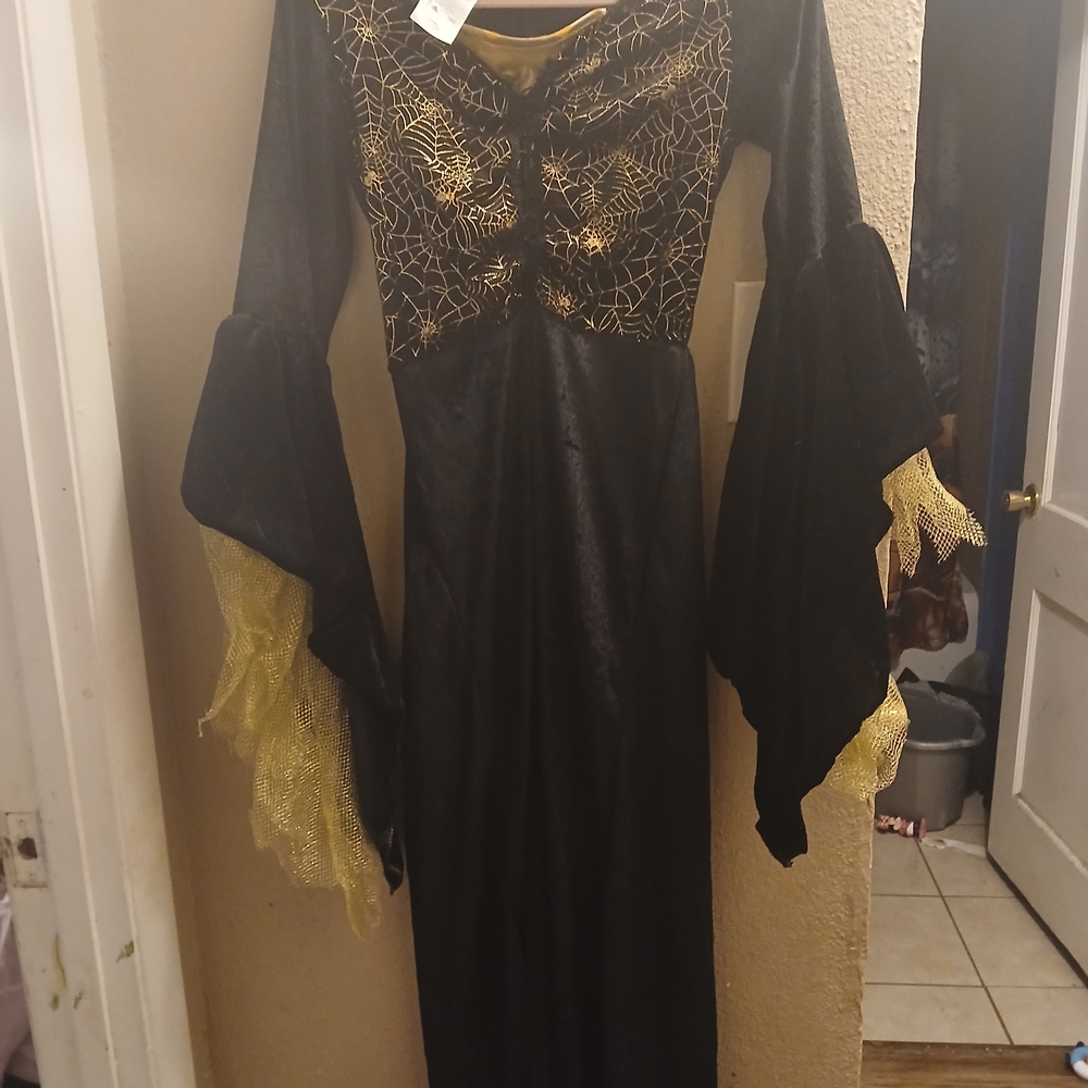Rubie's Black and Gold Costume Dress